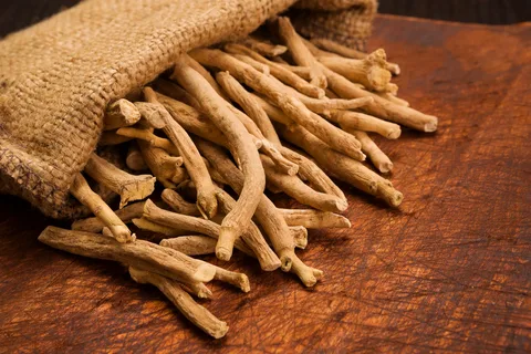 Benefits of Ashwagandha Nootropics